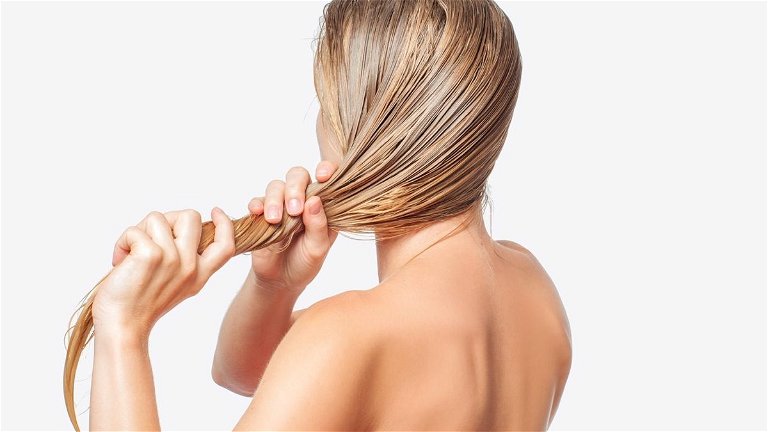 Aloe vera: qué beneficios tiene para el pelo y cómo utilizarlo