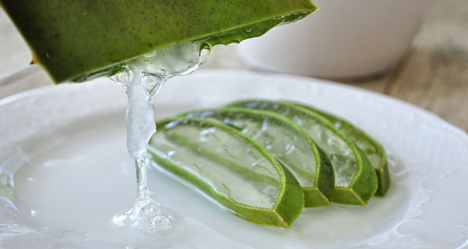 Aloe Vera: El Aliado Perfecto Para El Cuidado De La Piel