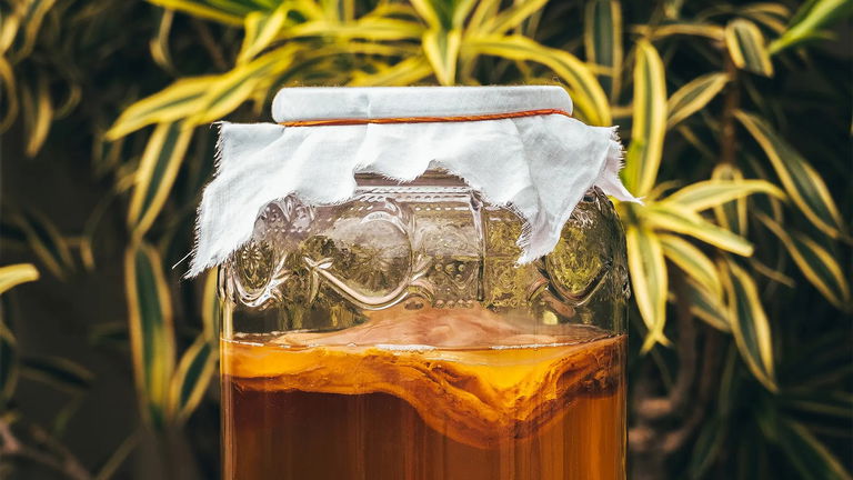 Kombucha: qué beneficios tiene utilizarla para la piel