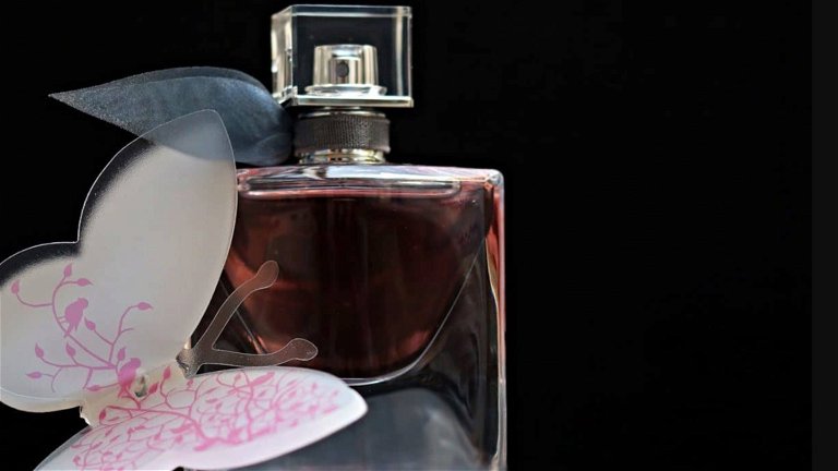 Qué son las notas de un perfume y por qué son importantes