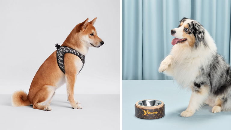 Accesorios de lujo para mascotas: las marcas más exclusivas