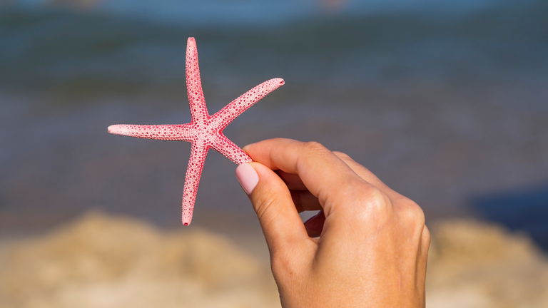 15 ideas de uñas elegantes para verano que van con todo (y quedan bien tengas la edad que tengas