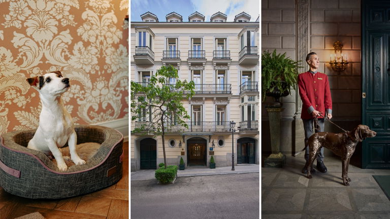 Relais & Châteaux Orfila: el hotel que convierte a tu mascota en uno más de la familia