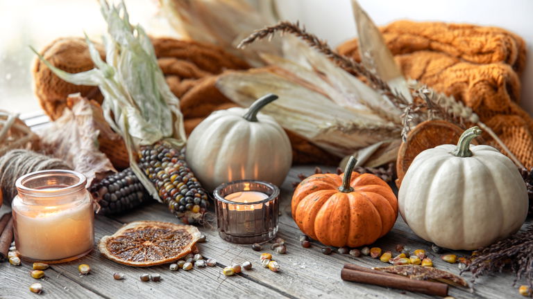 Decoración de otoño 2025: setas y calabazas convierten tu casa en un refugio encantado