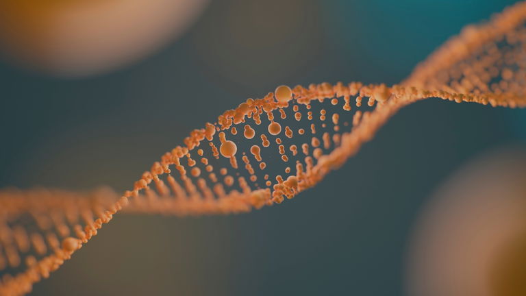 ¿Qué son los péptidos y por qué deberían estar en tus cosméticos?
